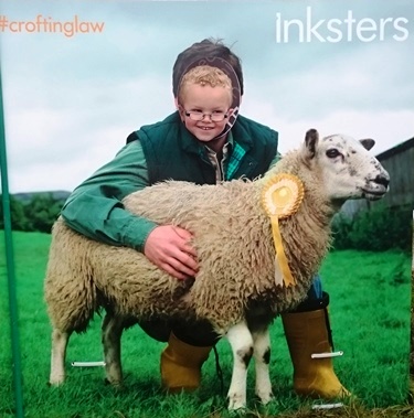 Caithness County Show - Inksters - Croting Law - Inky the Sheep